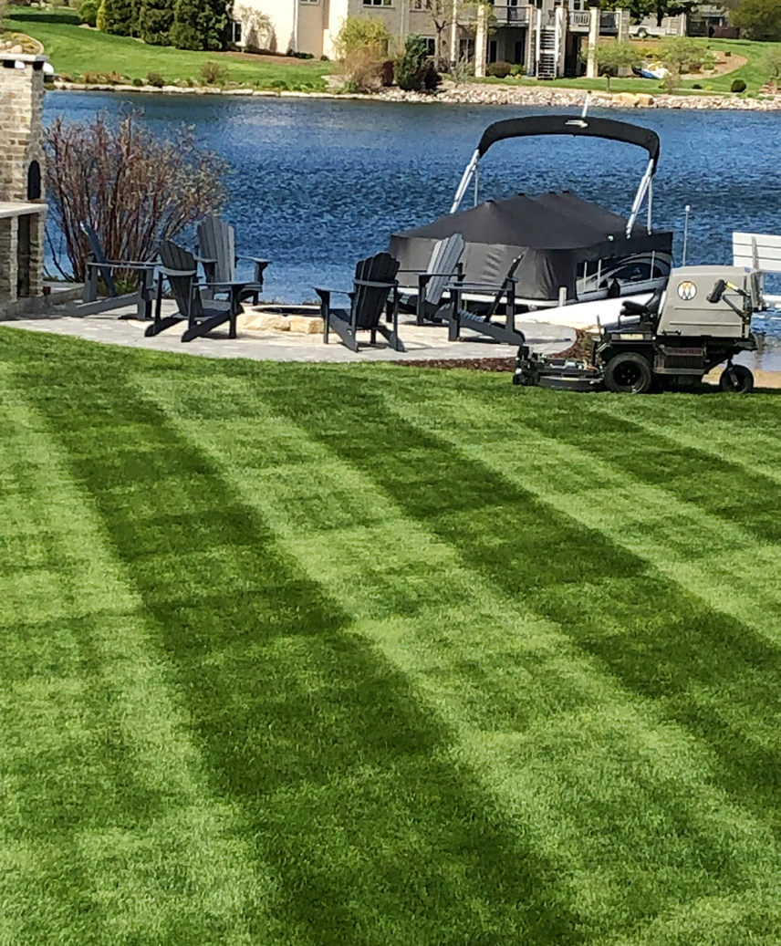 Cut grass by a lake