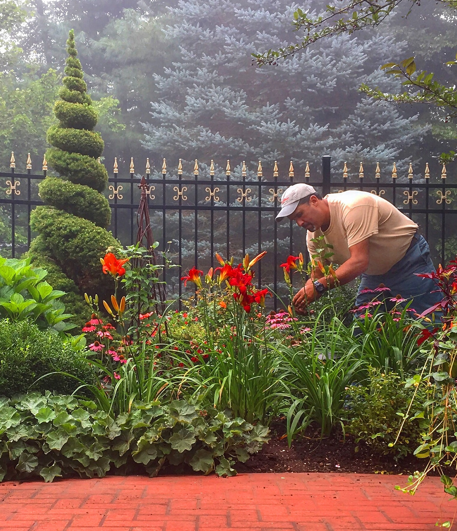 Paul Camara maintaining flowers